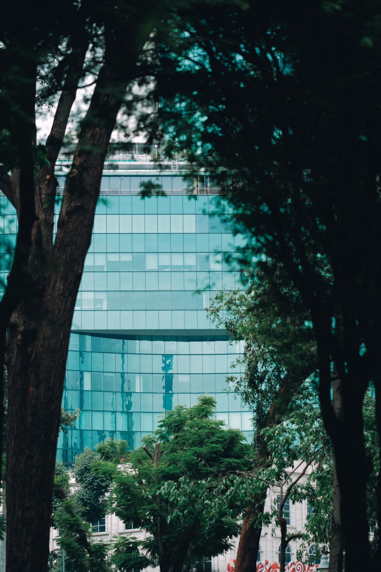 Bengaluru After Rain